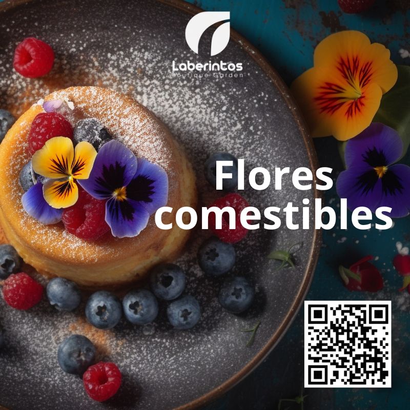 Plantas con flores comestibles en el Jardín de Quito