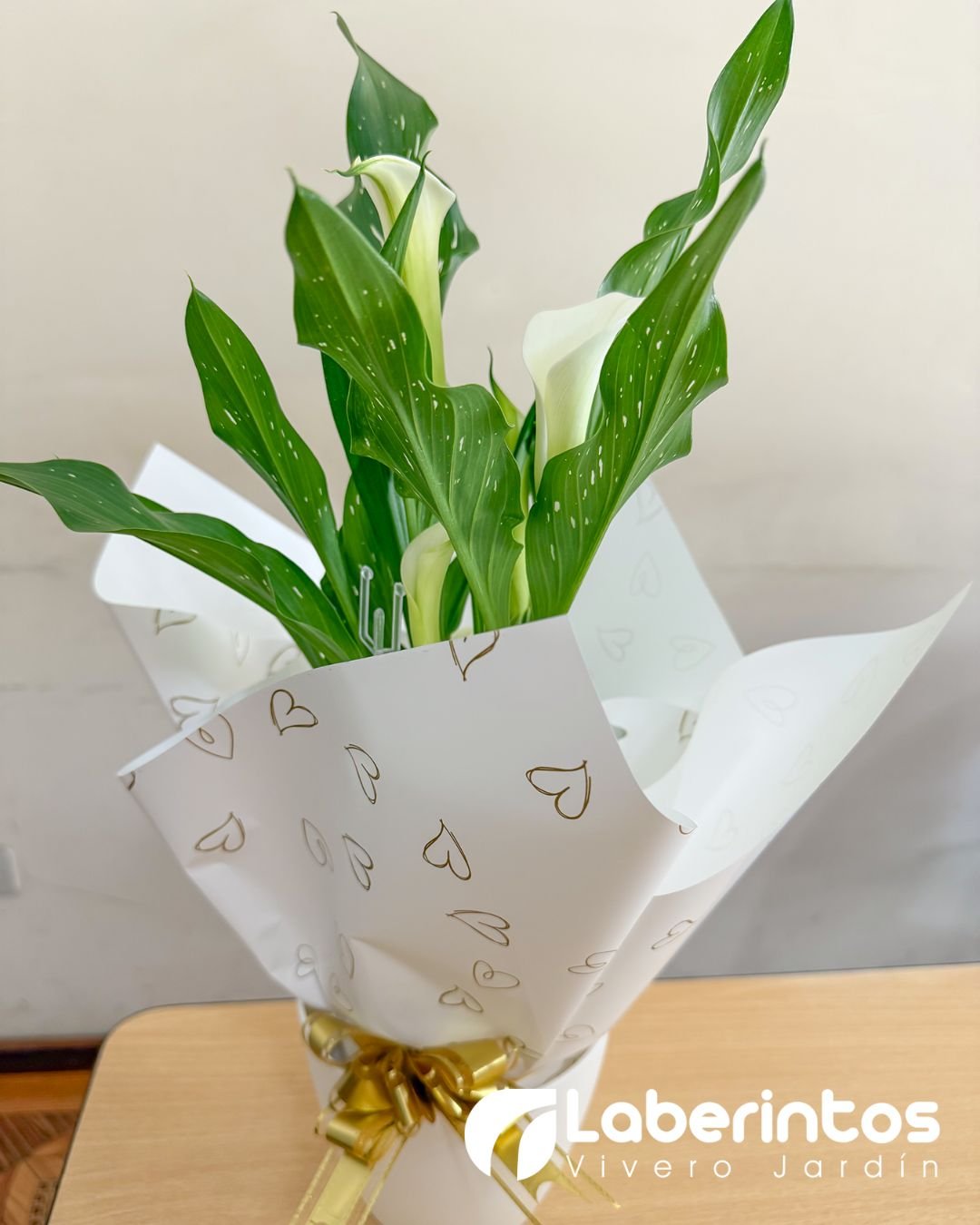 Cala o Cartucho blanco decorada para regalo con portamaceta